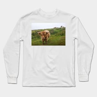 Highlands cows on Islay, Scotland Long Sleeve T-Shirt